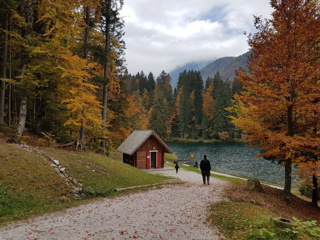 <span>Photo by <a href="https://unsplash.com/@find_something_pretty_everyday?utm_source=unsplash&utm_medium=referral&utm_content=creditCopyText">Hasmik Ghazaryan Olson</a> on <a href="https://unsplash.com/s/photos/udine?utm_source=unsplash&utm_medium=referral&utm_content=creditCopyText">Unsplash</a></span>